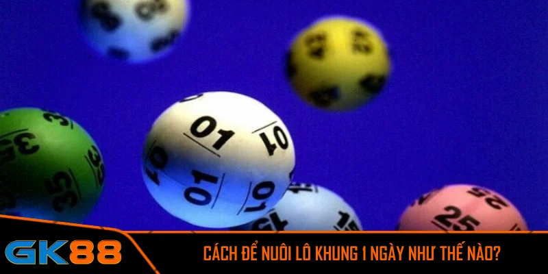 Cách để nuôi lô khung 1 ngày như thế nào?