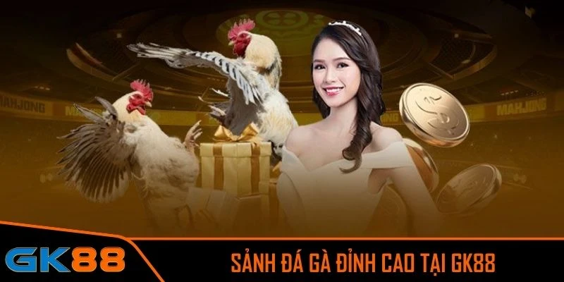 Cơ hội chiêm ngưỡng và theo dõi hàng loạt trận đá gà GK88