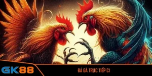 Đá gà trực tiếp C1